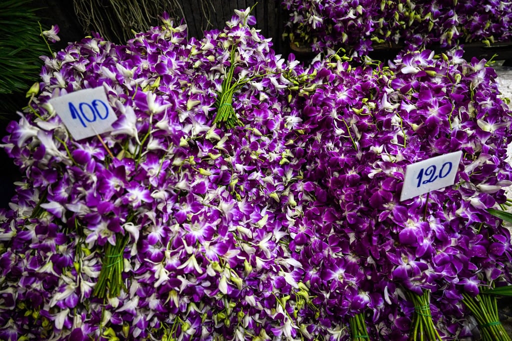 The pandemic has seen one in five orchid farms in Thailand shut recently and growers are expecting further hits due to the war in Ukraine. Photo: AFP