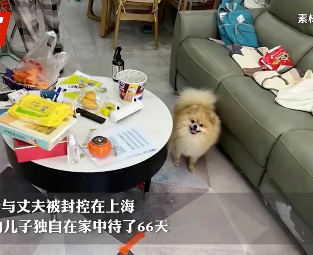 “He was very optimistic. He even reassured me, saying: ‘Why are you crying?’,” says the boy’s mother. Photo: Baidu “He was very optimistic. He even reassured me, saying: ‘Why are you crying?’,” says the boy’s mother. Photo: Baidu