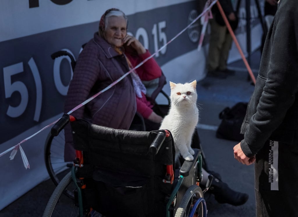 Ukrainian refugee from Mariupol Ludmila, 81, and her cat arrive in Zaporizhzhia, Ukraine on May 8. Photo: Reuters Ukrainian refugee from Mariupol Ludmila, 81, and her cat arrive in Zaporizhzhia, Ukraine on May 8. Photo: Reuters