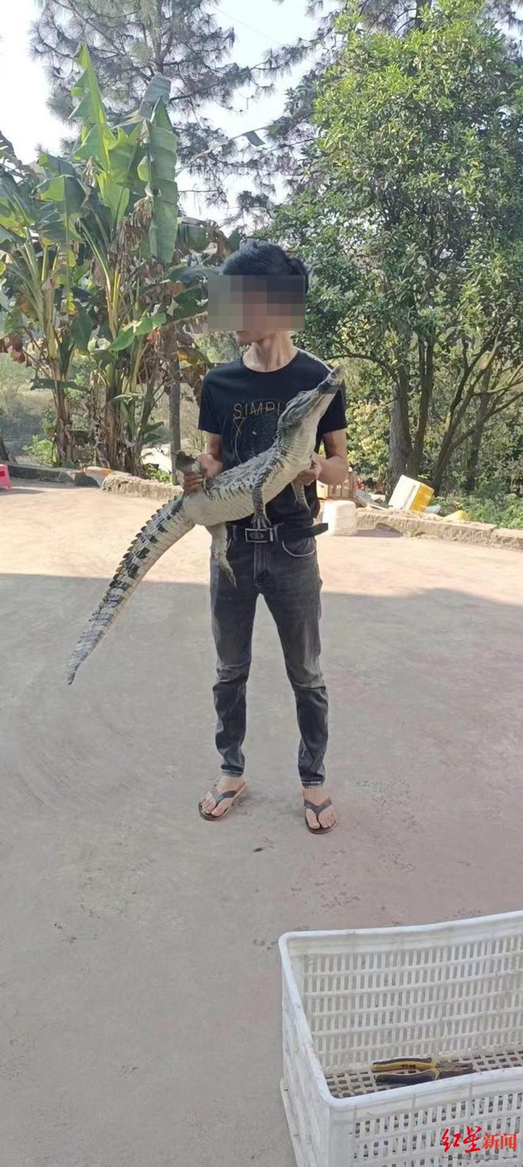 A man holds a crocodile that escaped from a pond after heavy rains. Photo: 163.com