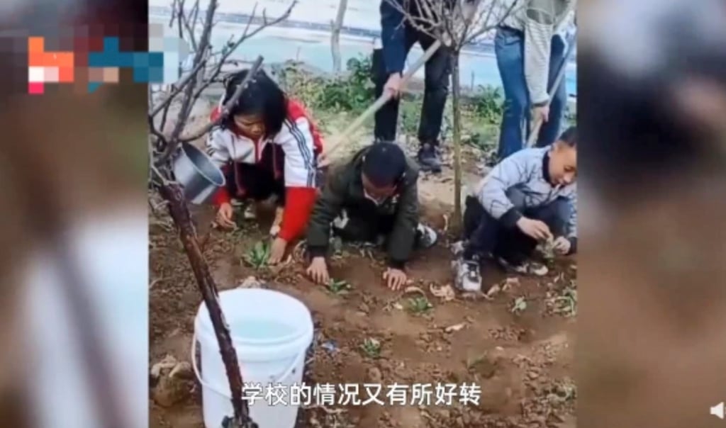 In addition to reading and writing, the students learn practical skills like farming. Photo: Inews