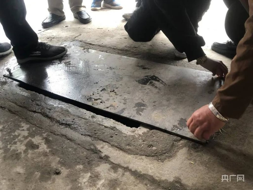 The boy was walking with his family when the incident occurred. Photo: ifeng