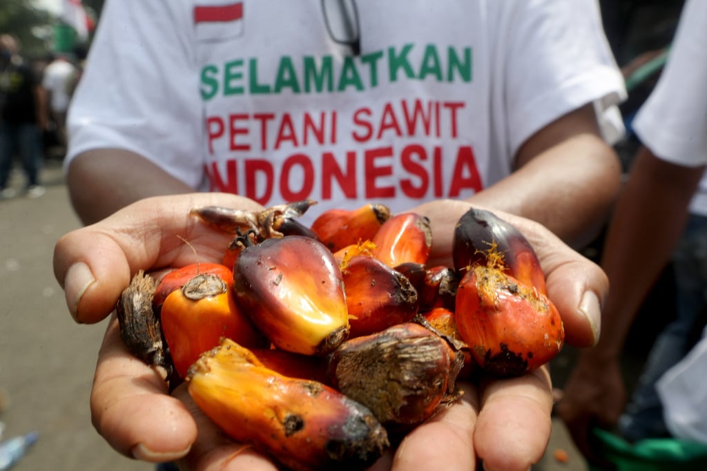 An Indonesian activist wearing a shirt reading ‘Save Indonesian palm farmers’ holds palm fruit during protests in Jakarta on Tuesday. Photo: EPA-EFE