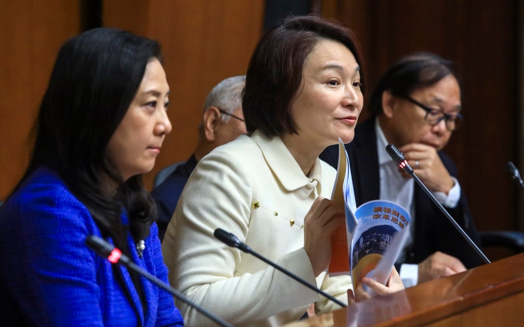 Starry Lee (centre), chairwoman of the Democratic Alliance for the Betterment and Progress of Hong Kong. Photo: May Tse
