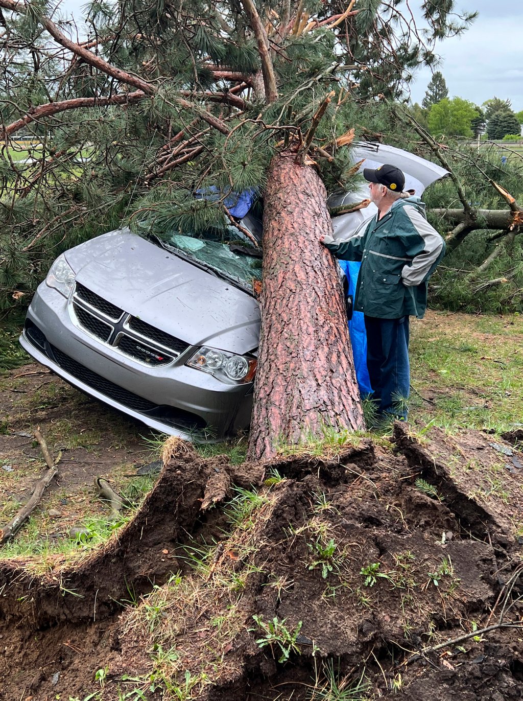 A tree crushed a car during a tornado in northern Michigan. Photo: AP A tree crushed a car during a tornado in northern Michigan. Photo: AP