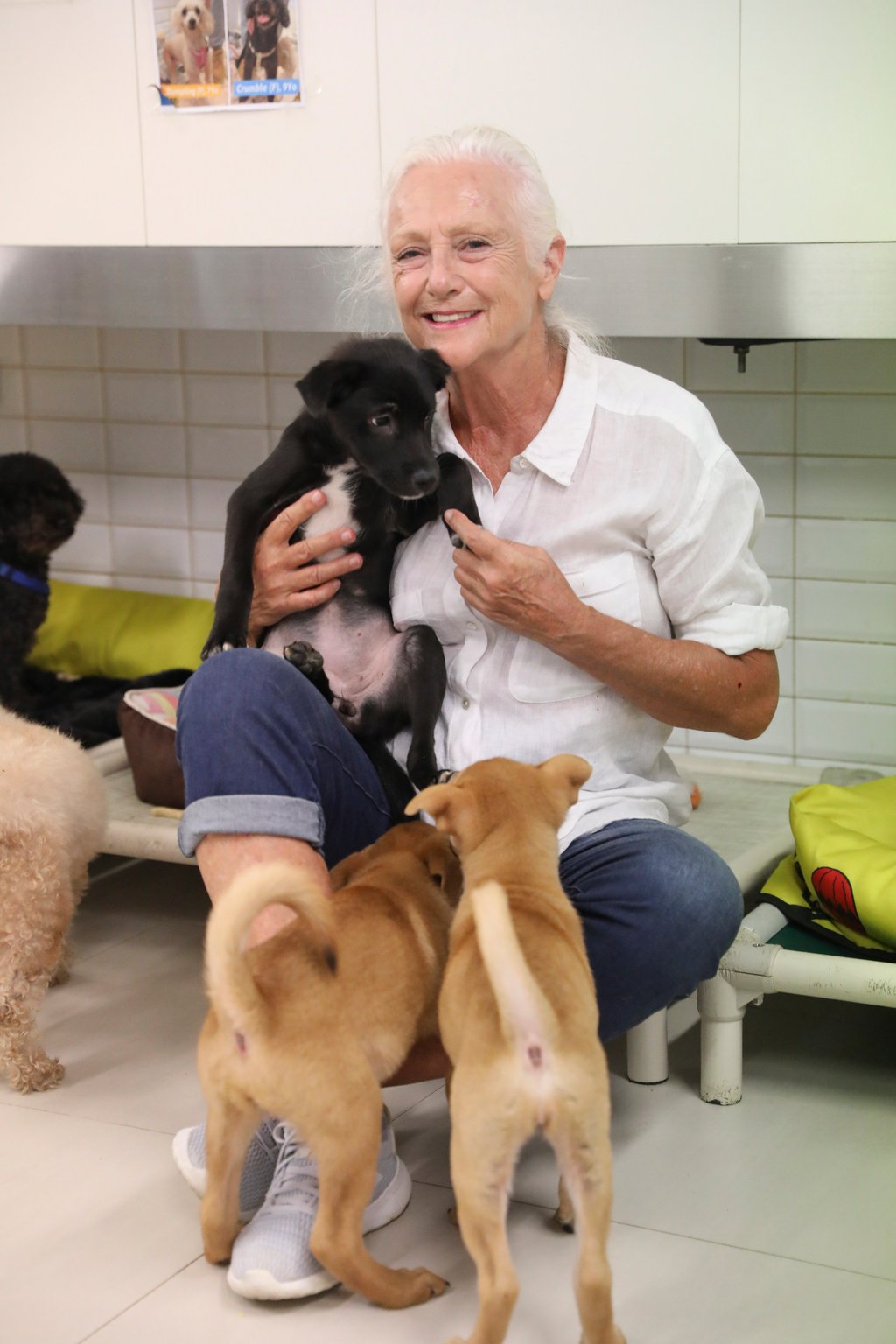 Sally Andersen, founder of Hong Kong Dog Rescue, with rescued dogs in Ap Lei Chau. Photo: Winson Wong