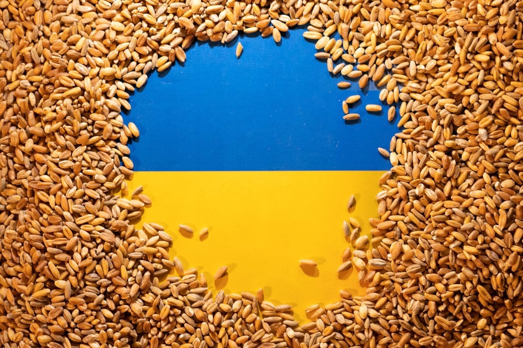 A Ukrainian flag covered with grain. The nation usually exports grain, and other foodstuffs, to many other countries. Photo: Reuters A Ukrainian flag covered with grain. The nation usually exports grain, and other foodstuffs, to many other countries. Photo: Reuters