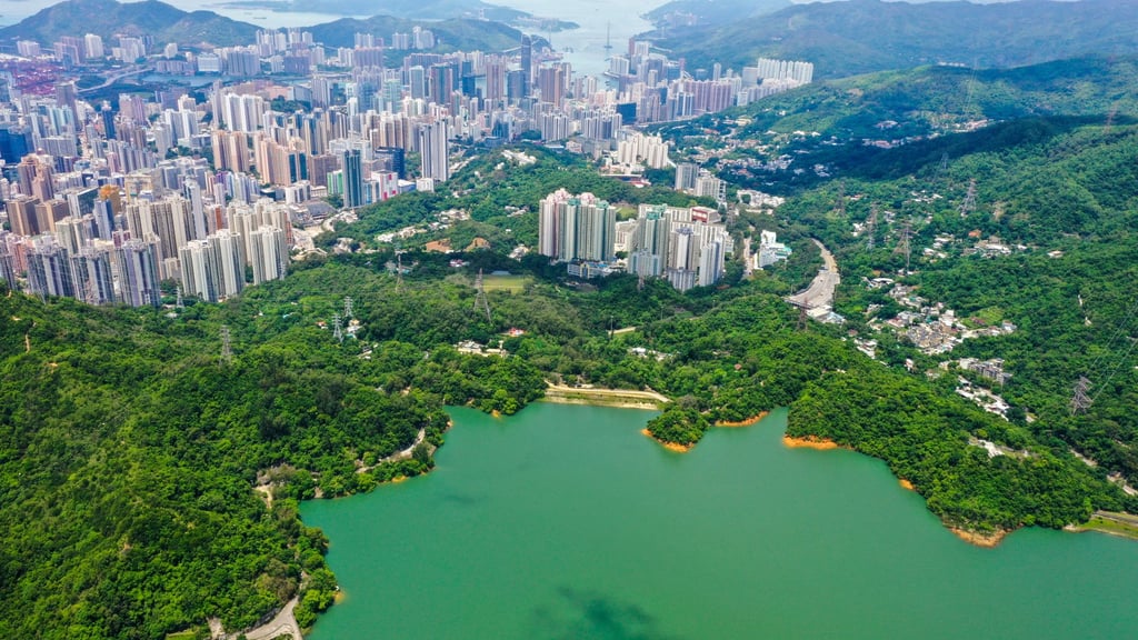 Shing Mun Reservoir. Photo: Felix Wong