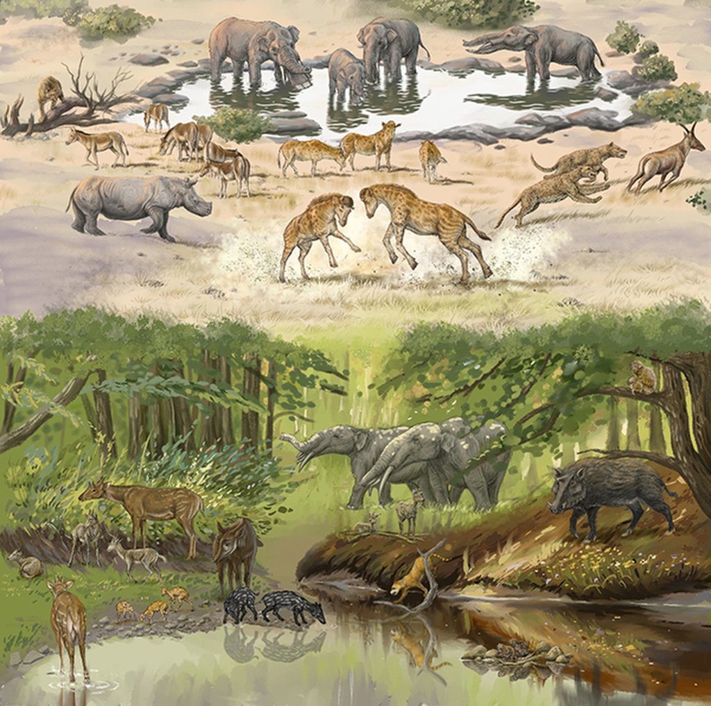 The fossil community in the Junggar Basin in Xinjiang 17 million years ago, with Discokeryx xiezhi in the centre. Illustration: Guo Xiaocong