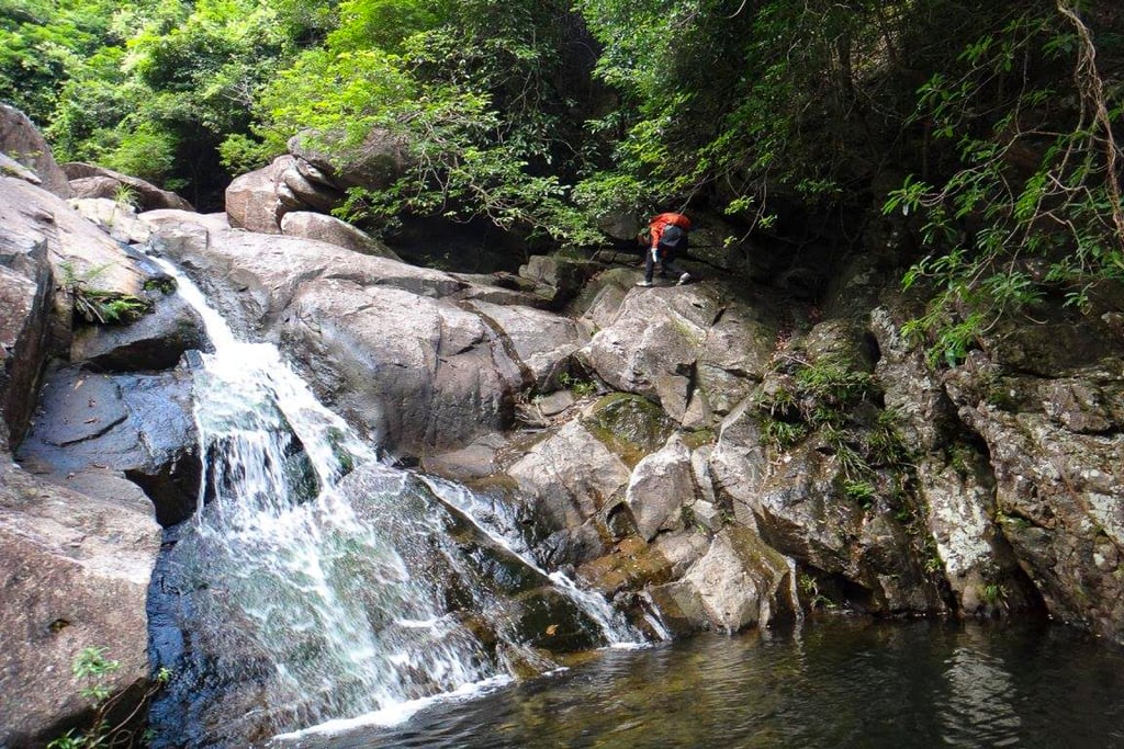 The Wang Chung Stream in Pat Sin Leng Country Park. Photo: Facebook