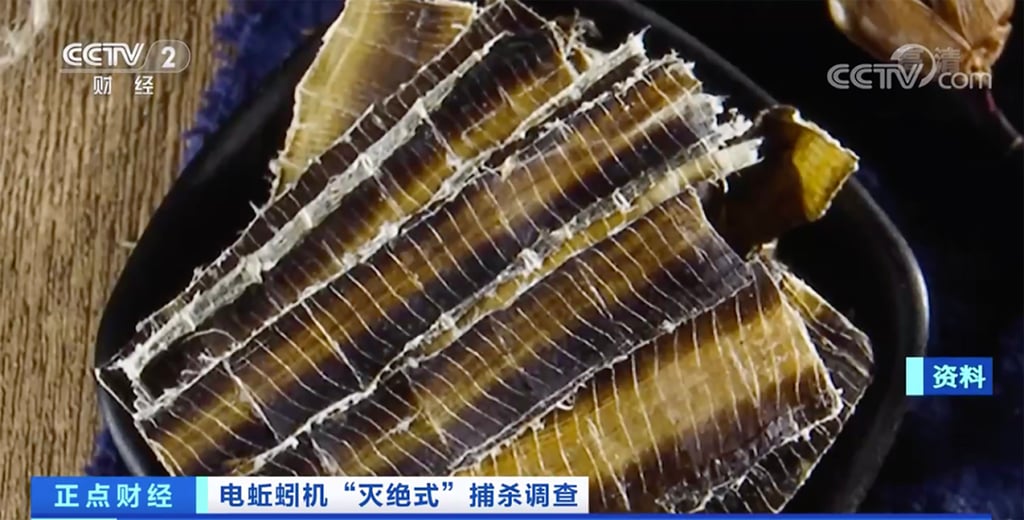 Dried earthworms are used in traditional Chinese medicine. In recent years, as their price has continued to rise, sales of a machine called an electric earthworm machine have also increased. Photo: CCTV Dried earthworms are used in traditional Chinese medicine. In recent years, as their price has continued to rise, sales of a machine called an electric earthworm machine have also increased. Photo: CCTV