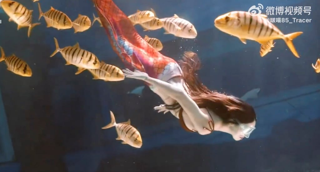 Animal activist does ‘mermaid’ performance to raise awareness about the cruelty of keeping animals in captivity for human amusement. Photo: Weibo Animal activist does ‘mermaid’ performance to raise awareness about the cruelty of keeping animals in captivity for human amusement. Photo: Weibo