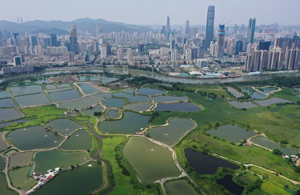 A view of Lok Ma Chau at the northwest border between Hong Kong and Shenzhen, on May 3. Photo: May Tse A view of Lok Ma Chau at the northwest border between Hong Kong and Shenzhen, on May 3. Photo: May Tse