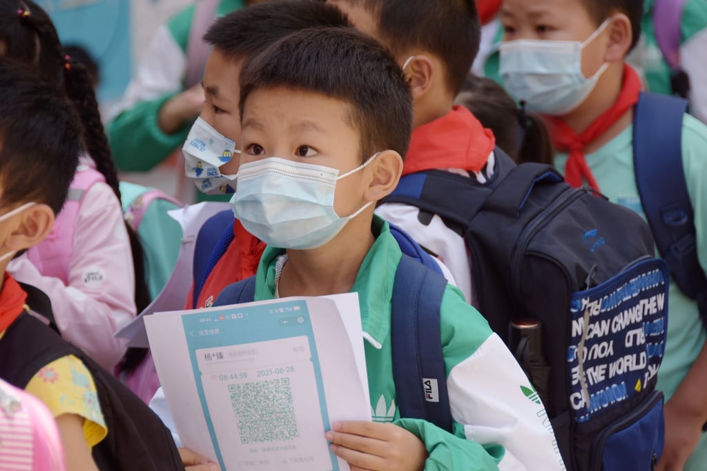 A primary school pupil pictured with his health QR code and travel history QR code printed out on pieces of paper in Gejiu, Yunnan province. Photo: VCG via Getty Images A primary school pupil pictured with his health QR code and travel history QR code printed out on pieces of paper in Gejiu, Yunnan province. Photo: VCG via Getty Images