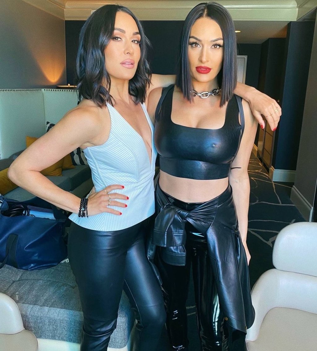 Brie (left) and Nikki Bella. Photo: @thebriebella/Instagram