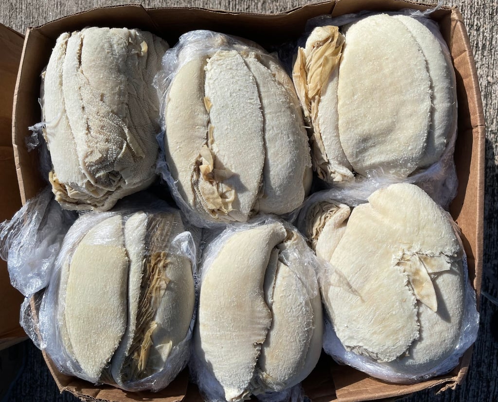 Frozen meat impounded by Hong Kong customs officers after an anti-smuggling operation led to the seizure of a cargo ship. Photo: Handout