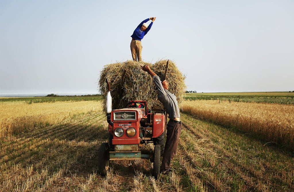 Yoga has become a popular activity among seniors in a village nicknamed ‘The First Yoga Village in China’. Photo: Sohu