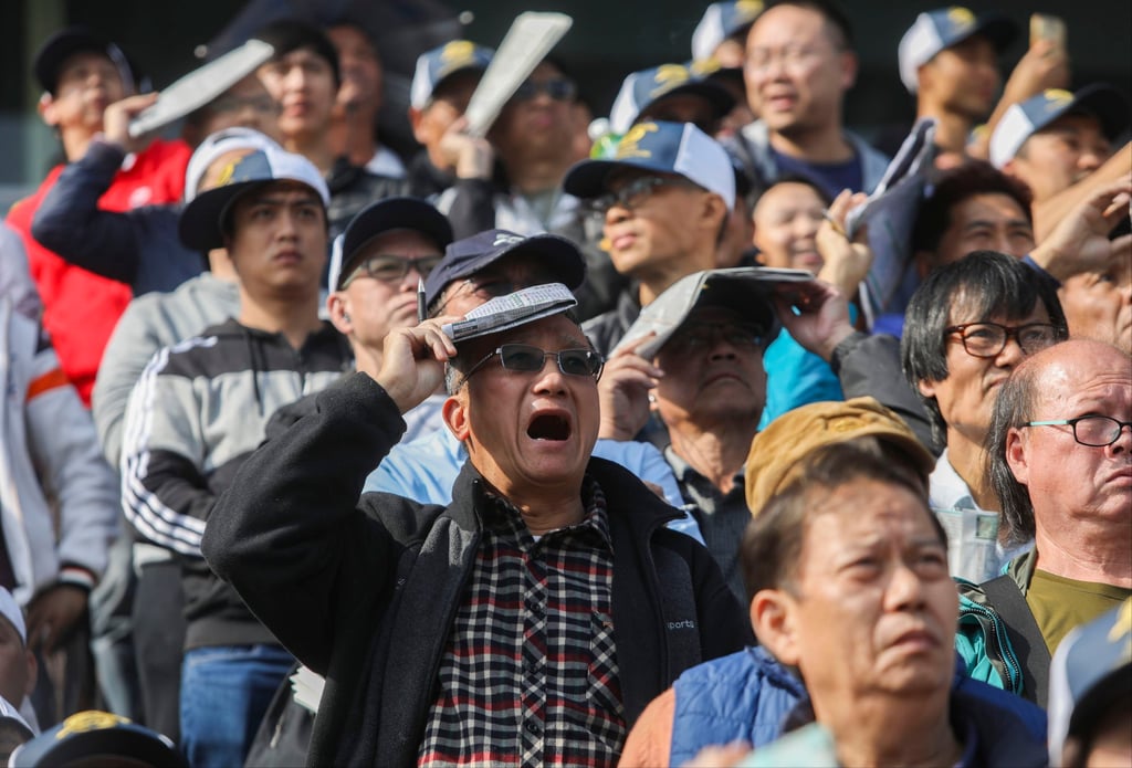 Horse racing fans take in the action at the Longines Hong Kong International Races at Sha Tin Racecourse in 2017. Photo: SCMP / Sam Tsang