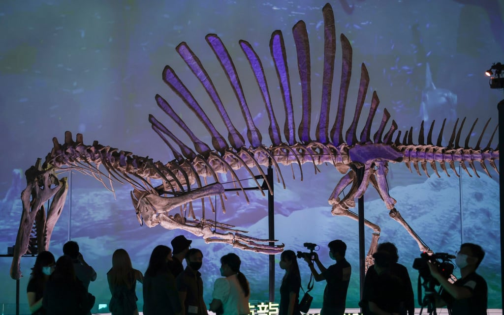 Visitors check out a replica of the Spinosaurus. Photo: Nora Tam