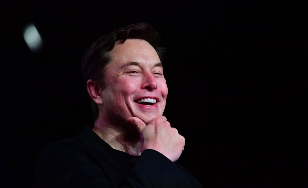 Tesla CEO Elon Musk. Photo: AFP
