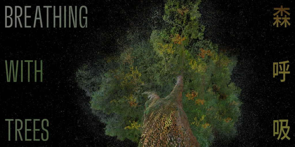 The Tai Kwun Centre for Heritage and Arts’ newest summer exhibition showcases nature. Photo: Tai Kwun The Tai Kwun Centre for Heritage and Arts’ newest summer exhibition showcases nature. Photo: Tai Kwun