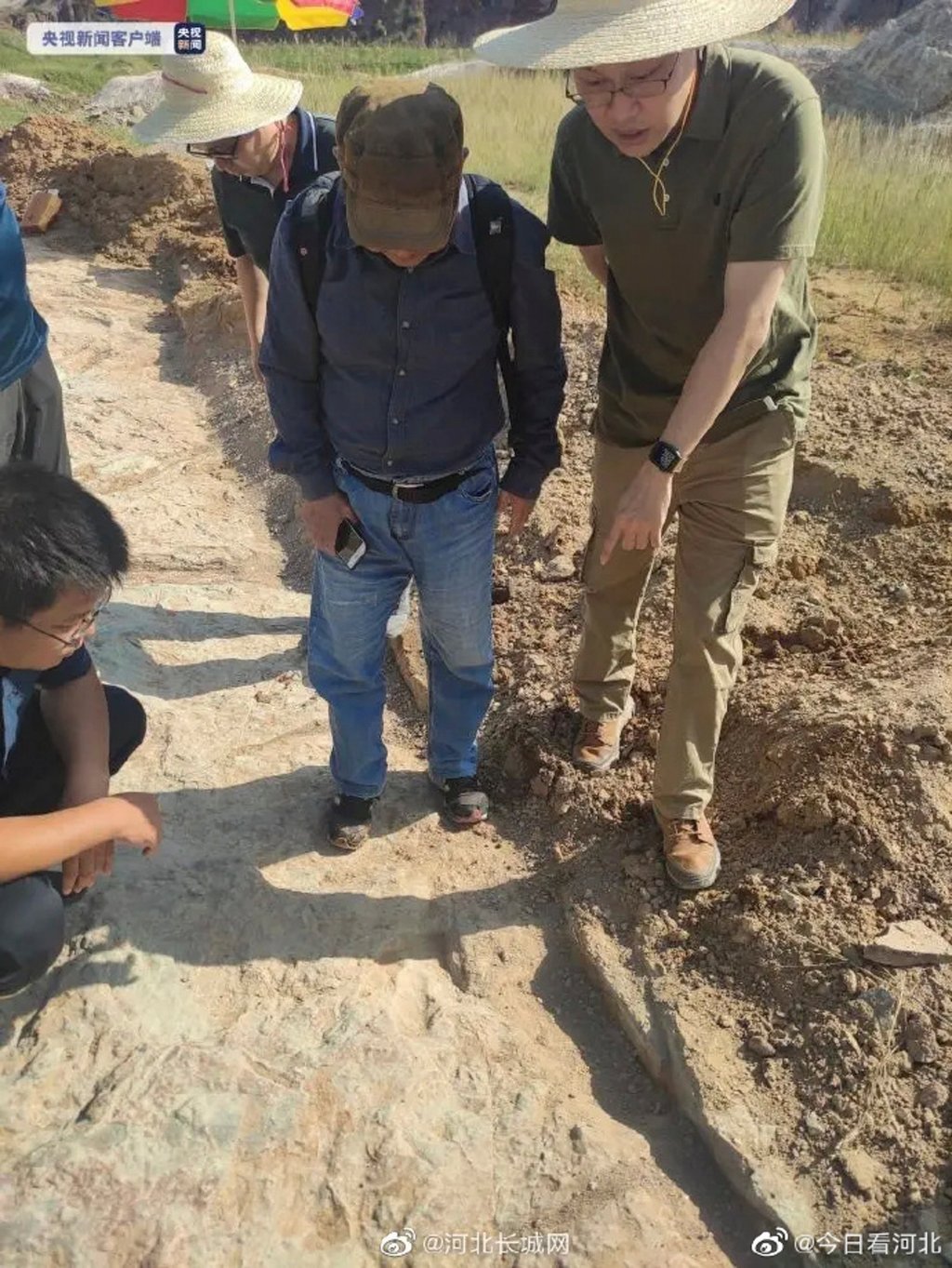 Scientists analyse dinosaur footprints in northern China. Photo: Weibo