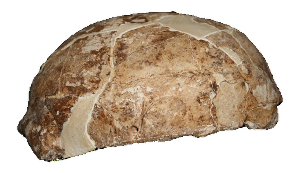 Genetic analysis of Mengzi Ren found strong links to the ancestors of First Americans. Photo: Handout