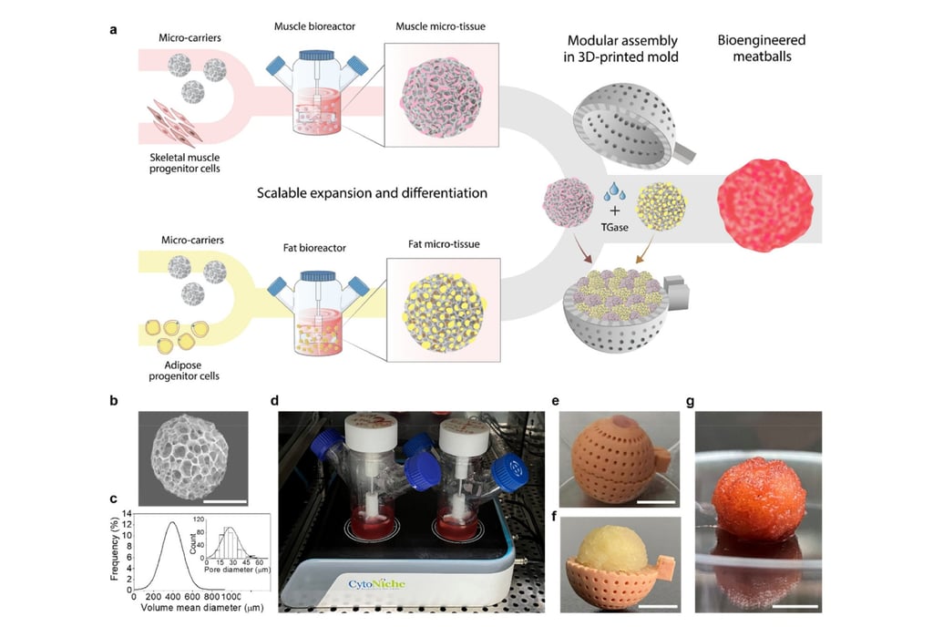 Chinese scientists have developed a new technology that can greatly increase lab-grown cell expansion. Image: Handout