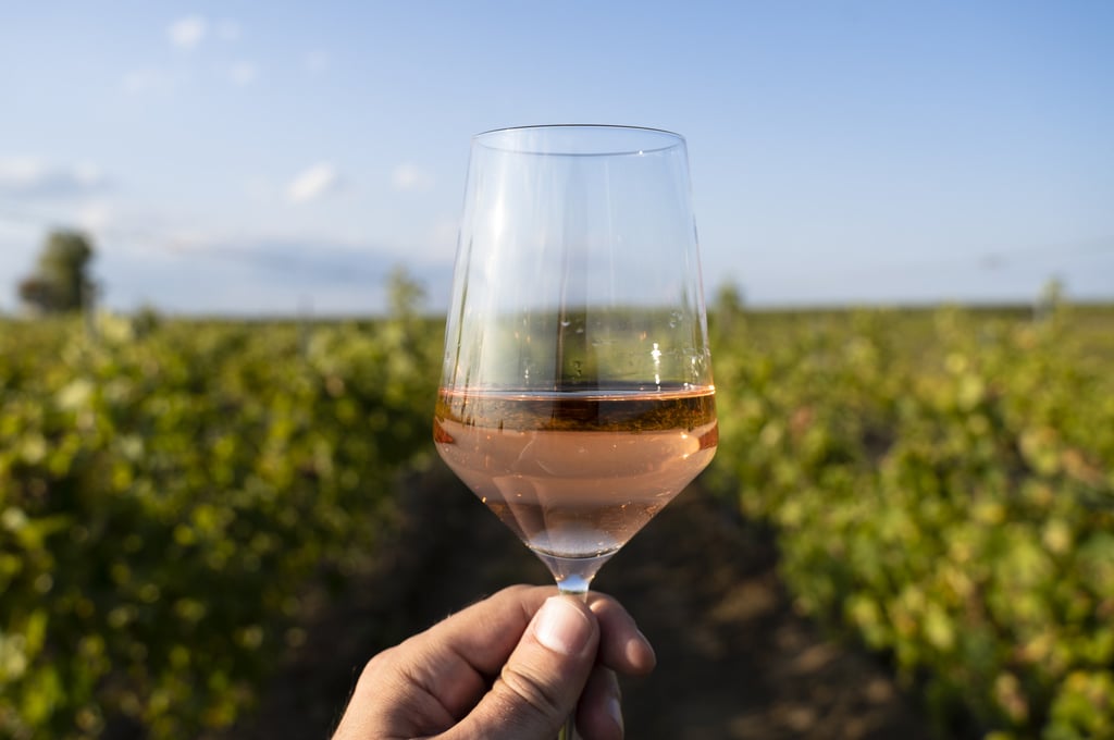 Contrary to popular belief, rosé is not a blend of a white and red wines. Photo: Getty Images