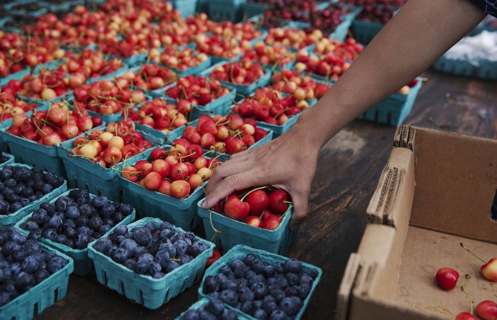 Fruit for sale at a market in New York on July 16. Food prices have risen 10.4 per cent in the US from a year ago. Photo: Bloomberg