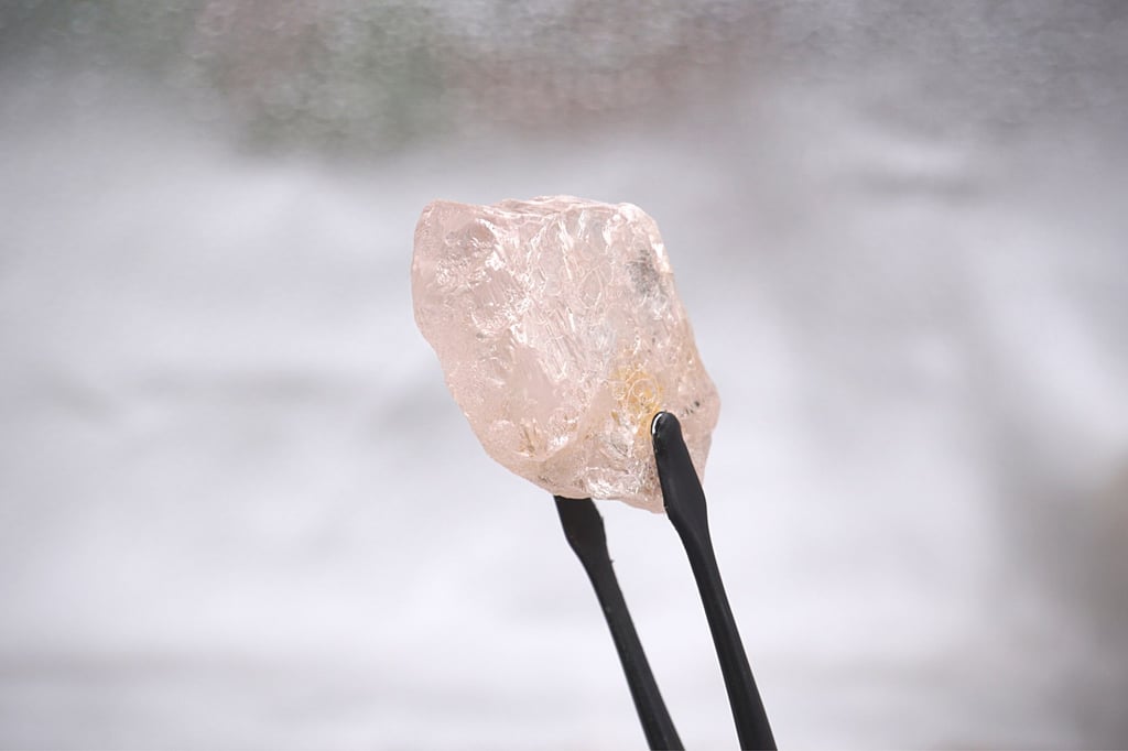 It may look small, but for a pink diamond, the Lulo Rose is one of the largest and most impressive of the past 300 years. Photo: EPA-EFE/Lucapa Diamond Company It may look small, but for a pink diamond, the Lulo Rose is one of the largest and most impressive of the past 300 years. Photo: EPA-EFE/Lucapa Diamond Company