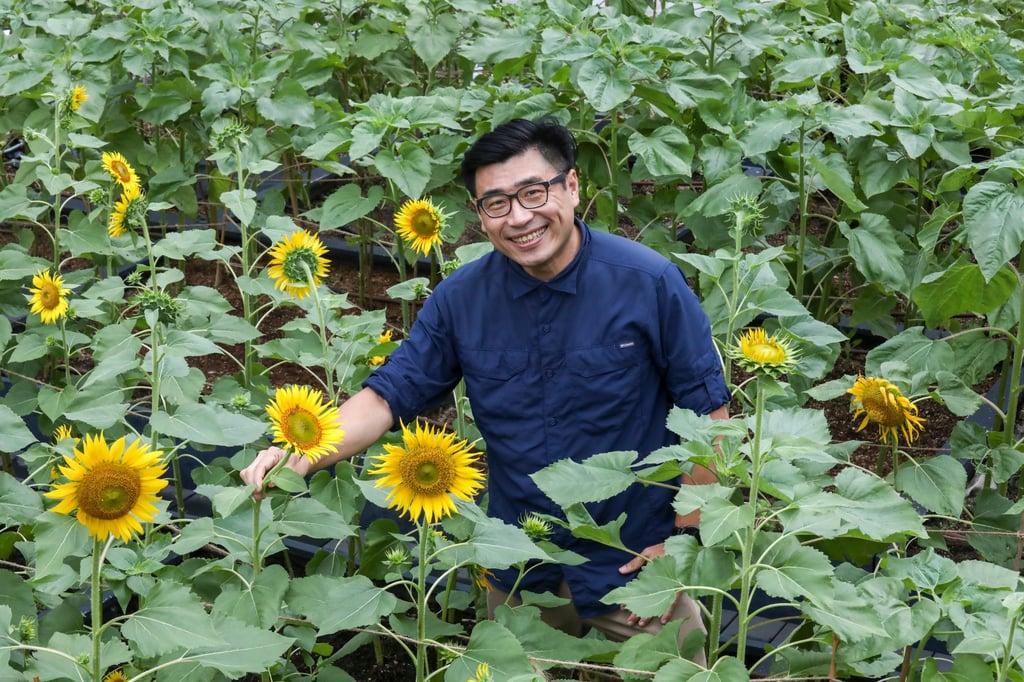 Rooftop Republic’s co-founder and CEO Andrew Tsui at Metroplaza’s organic rooftop farm in Kwai Fong. Photo: Jonathan Wong
