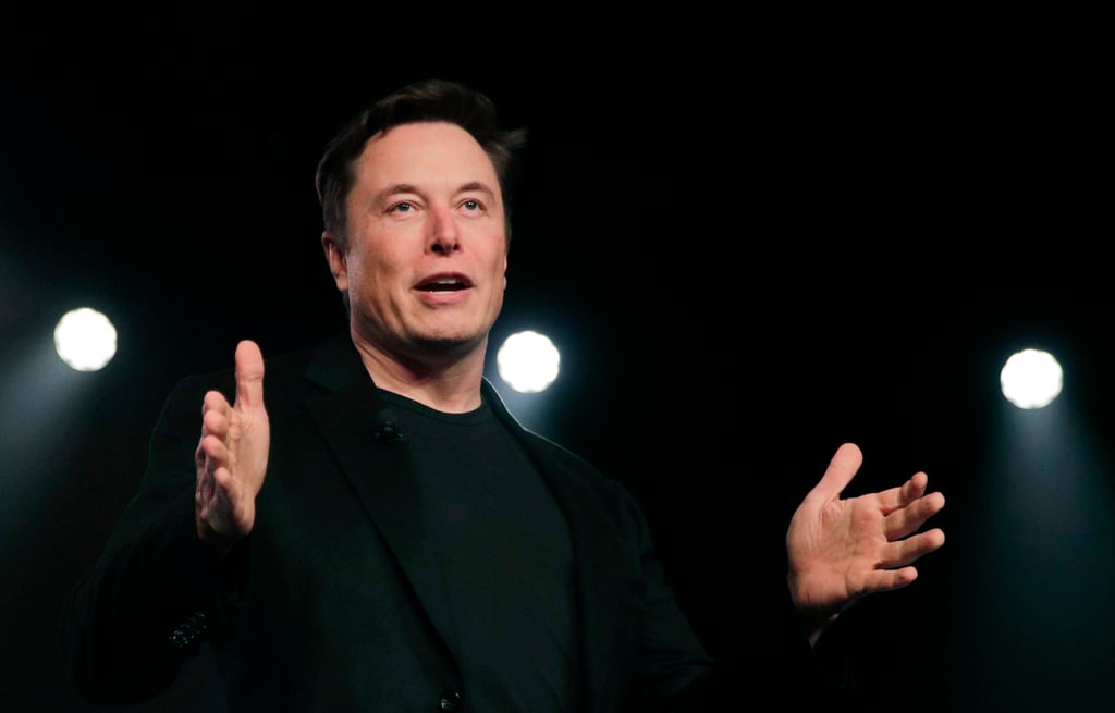 Tesla CEO Elon Musk in 2019. The billionaire has warned of a looming population collapse. Photo: AP Photo