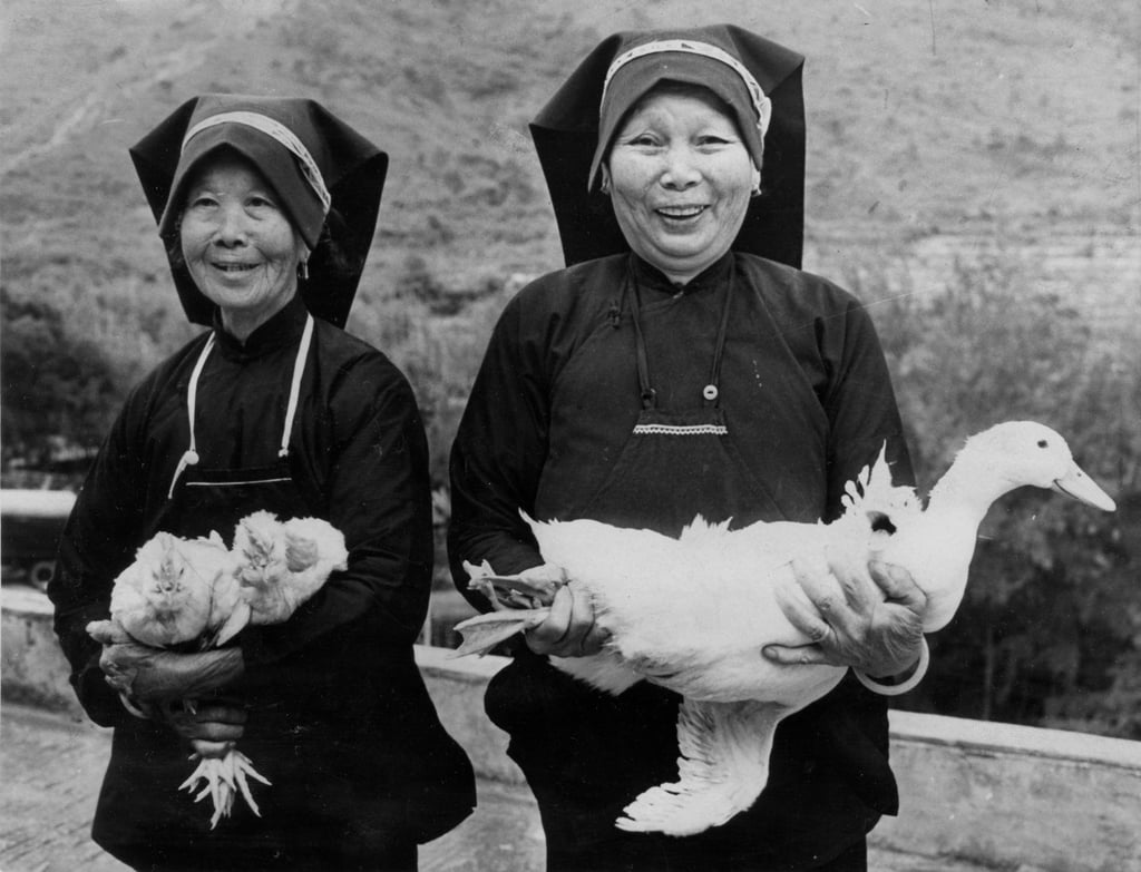 Hakka women farmers who were presented with ducks to improve their livelihood by the Kadoorie Agricultural Aid Association in Tai Po, Hong Kong, in 1970. Photo: SCMP Hakka women farmers who were presented with ducks to improve their livelihood by the Kadoorie Agricultural Aid Association in Tai Po, Hong Kong, in 1970. Photo: SCMP
