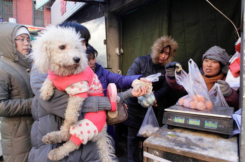 A resident holding her pet dog pays for eggs at a roadside market in central Beijing. Photo: Reuters A resident holding her pet dog pays for eggs at a roadside market in central Beijing. Photo: Reuters