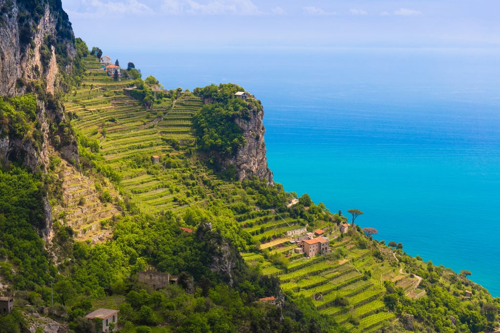 A view from the Path of the Gods hiking trail, with terraces of lemon trees fronting the azure waters of the Mediterranean Sea. Photo: Shutterstock