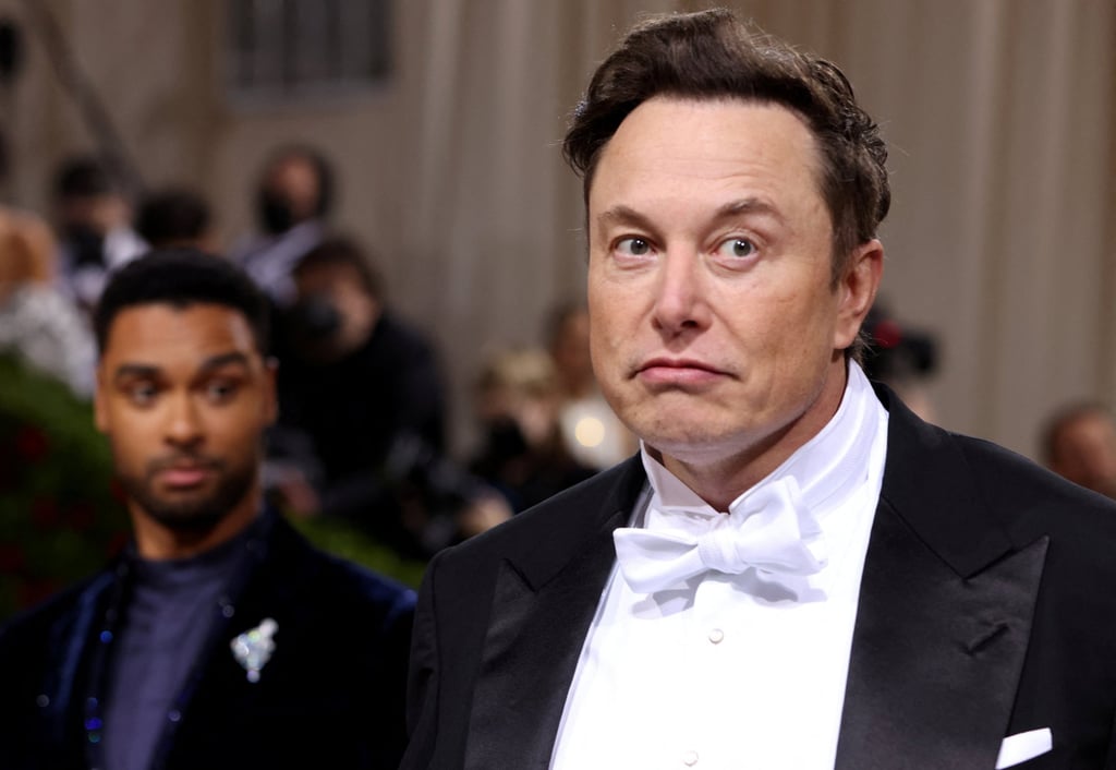 Elon Musk at the Met Gala at the Metropolitan Museum of Art in New York City. Photo: Reuters/File