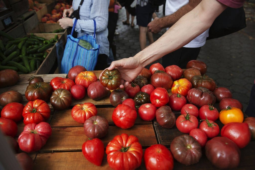 Tomatoes for sale at a farmers market in New York last month. Photo: Bloomberg