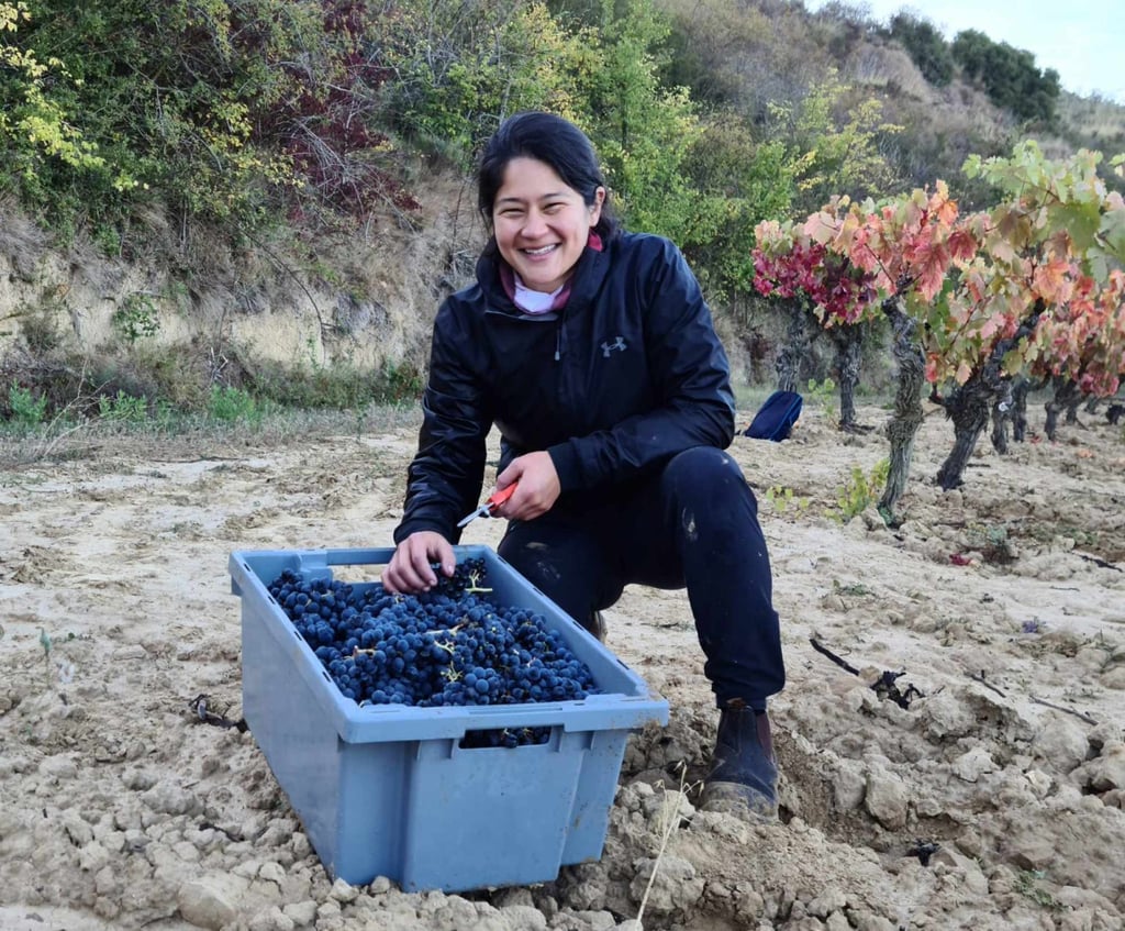 Jane Gross with a crate of freshly picked grapes. Photo: Jade Gross