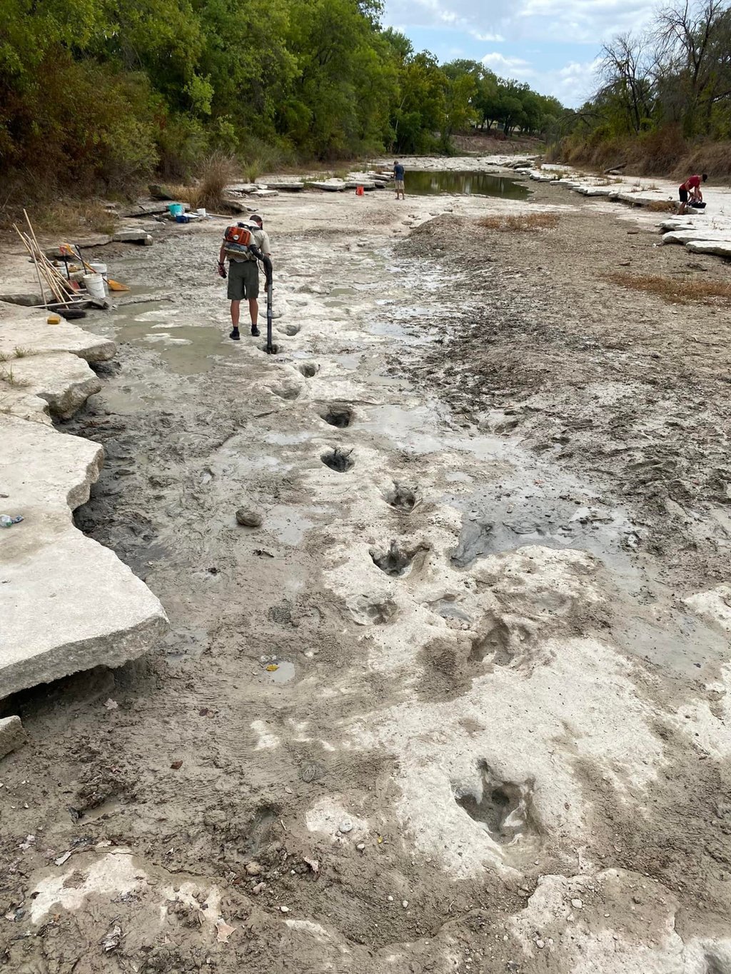 Severe drought conditions dried up a river in Dinosaur Valley State Park in Teas, revealing these footprints. Photo: Dinosaur Valley State Park via AFP Severe drought conditions dried up a river in Dinosaur Valley State Park in Teas, revealing these footprints. Photo: Dinosaur Valley State Park via AFP