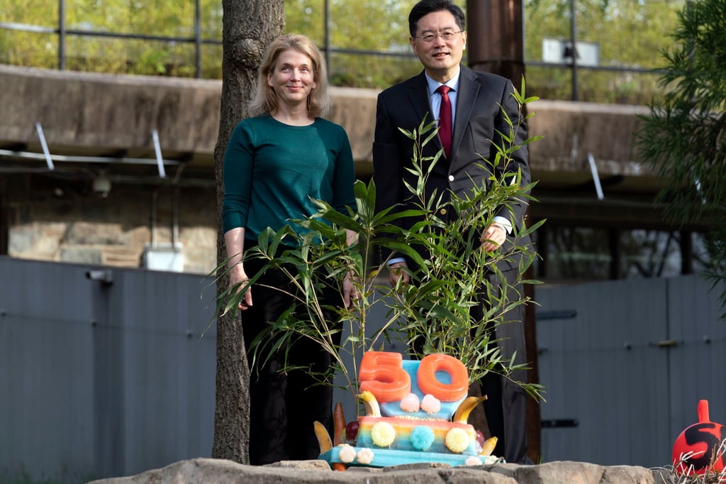 National Zoo Director Brandie Smith and Chinese ambassador to the US Qin Gang pose with a “fruitsicle” cake for the zoo’s giant pandas on April 16, celebrating 50 years of care, conservation, breeding and study of giant pandas. Photo: AP
