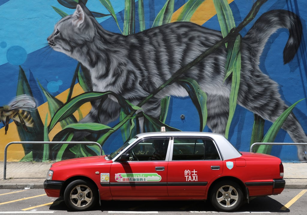 The SPCA’s headquarters in Wan Chai. Photo: Nora Tam