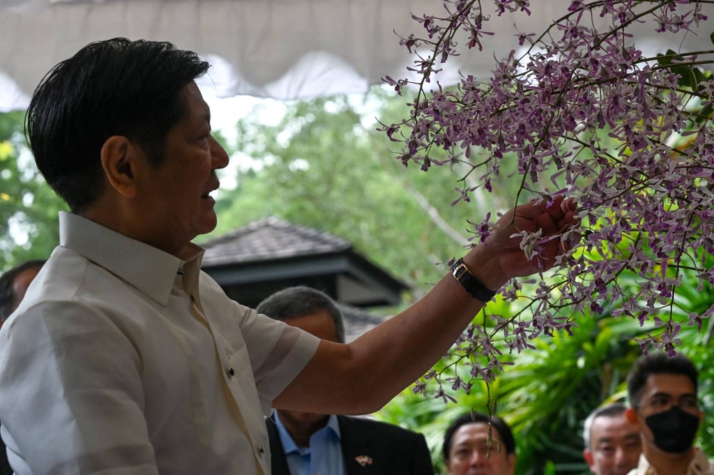 Marcos Jnr admires the orchid named after him and First Lady Louise Araneta-Marcos at Singapore’s National Orchid Garden on Wednesday. Photo: AFP Marcos Jnr admires the orchid named after him and First Lady Louise Araneta-Marcos at Singapore’s National Orchid Garden on Wednesday. Photo: AFP