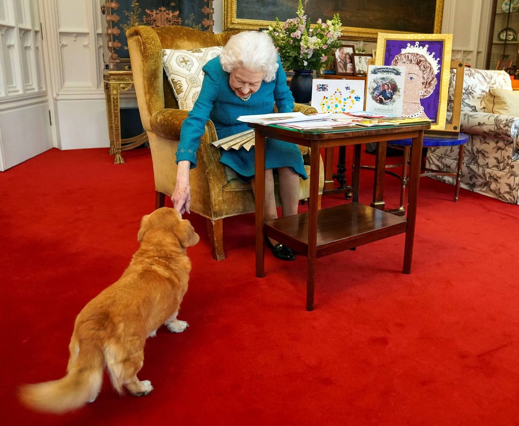 Queen Elizabeth stroking Candy, on of her corgi dogs, at Windsor Castle earlier this year. She used to feed scones to her pets, according to former royal chef Darren McGrady. Photo: Pool/AFP,