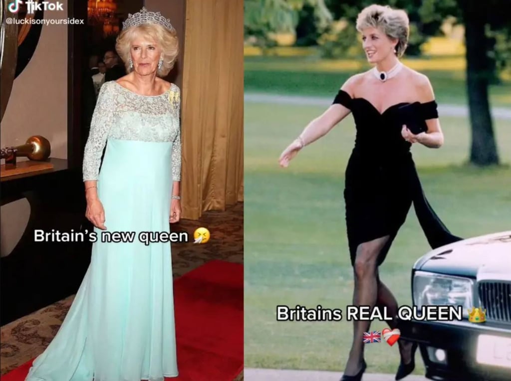 TikTok users have been pitting Camilla, queen consort, against Princess Diana in a new wave of online harassment after the queen’s death. Photo: TikTok
