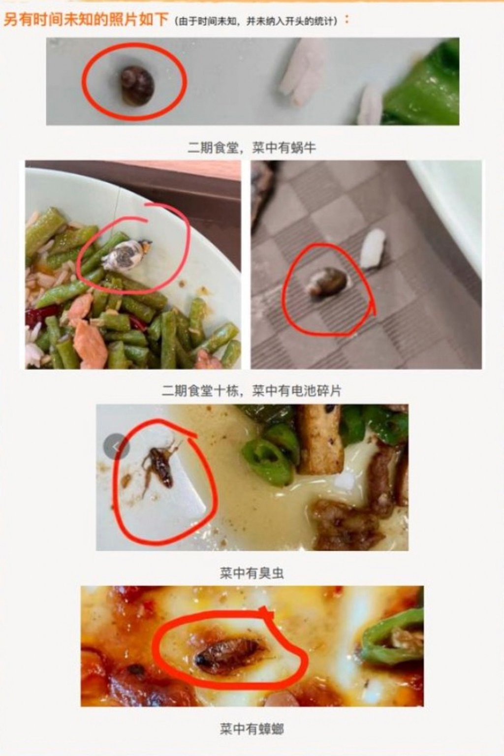 In a disturbing WeChat post by an employee, it was announced the canteen would reduce the daily supply of vegetables in a bid to reduce the number of worms being served. Photo: zhihu.com