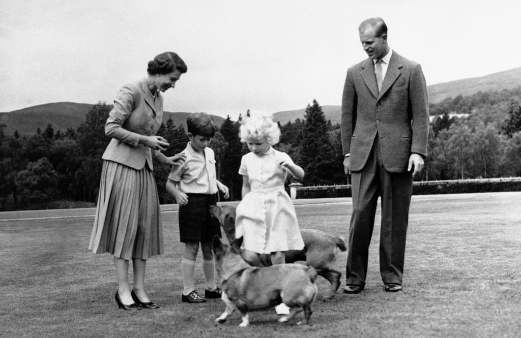 Queen Elizabeth and Prince Philip, with their children Prince Charles and Princess Anne, play with the queen’s corgi Sugar and the duke’s dog Candy at Balmoral castle, in 1955. Photo: AP Photo Queen Elizabeth and Prince Philip, with their children Prince Charles and Princess Anne, play with the queen’s corgi Sugar and the duke’s dog Candy at Balmoral castle, in 1955. Photo: AP Photo