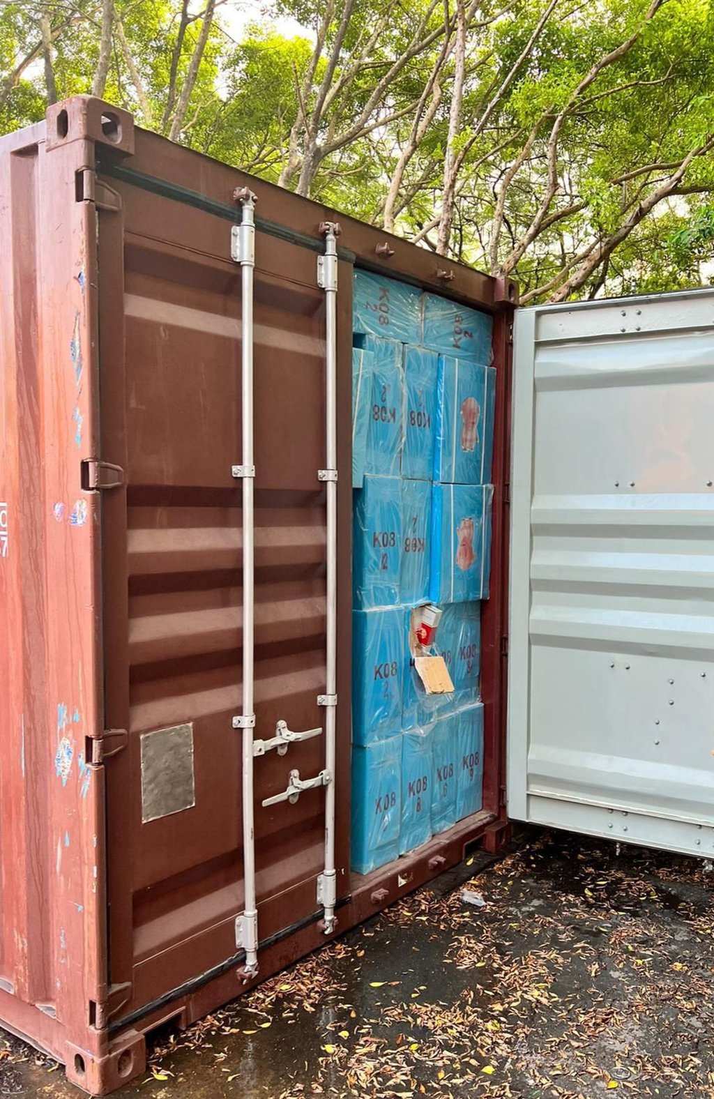 Illicit cigarettes seized by customs officers on September 19. Photo: Handout