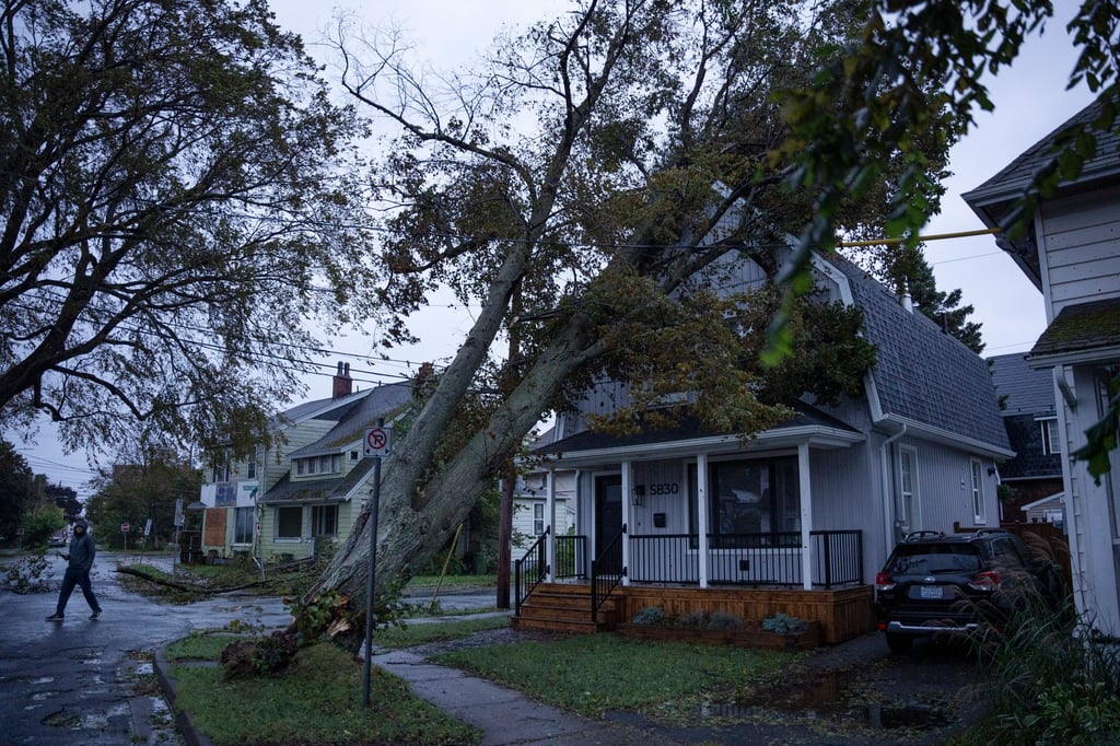 A tree falls on a house in Halifax on Saturday as Fiona continues to batter the area. Photo: The Canadian Press via AP A tree falls on a house in Halifax on Saturday as Fiona continues to batter the area. Photo: The Canadian Press via AP