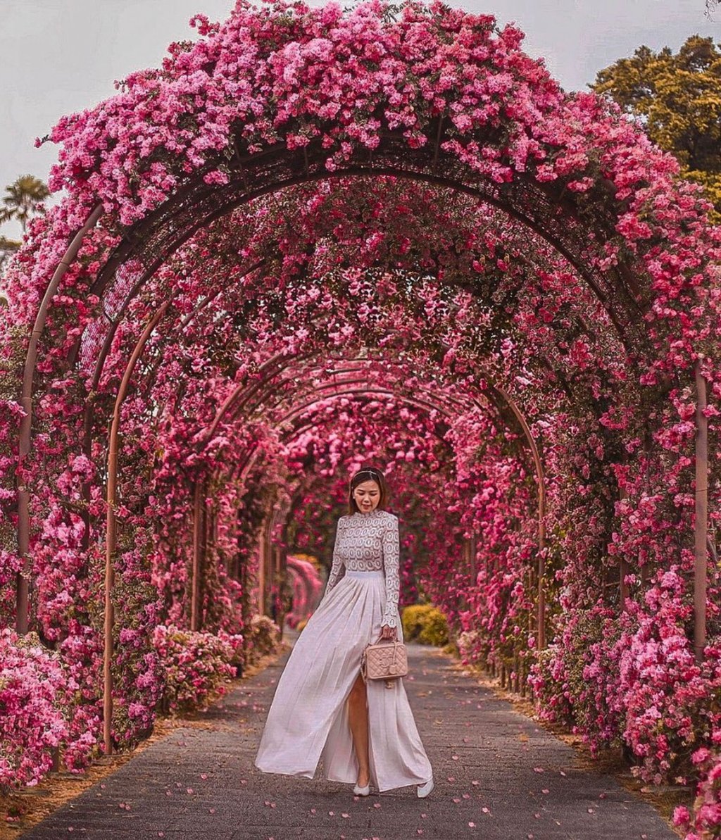 Instagram user @yuniqueyuni poses at the Japanese Cemetery Park. Photo: Instagram / @yuniqueyuni Instagram user @yuniqueyuni poses at the Japanese Cemetery Park. Photo: Instagram / @yuniqueyuni